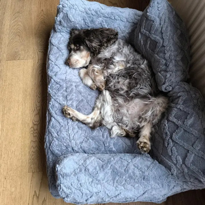 PawRelax™ Plush Bed 🐾 — Soft, Secure & Anxiety-Reducing CJDropshipping