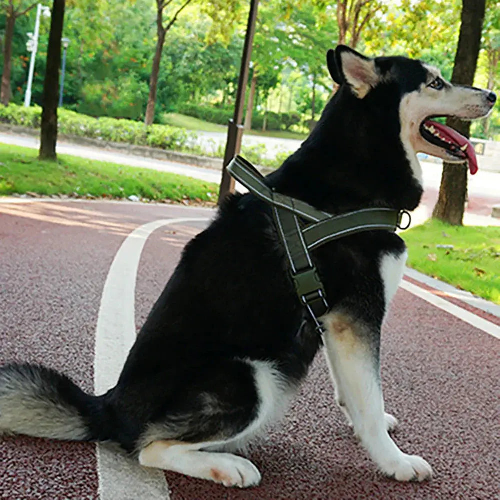 Tactical Anti-Pull Dog Harness - 1000D Nylon Adjustable for Large Dogs Stone's Store